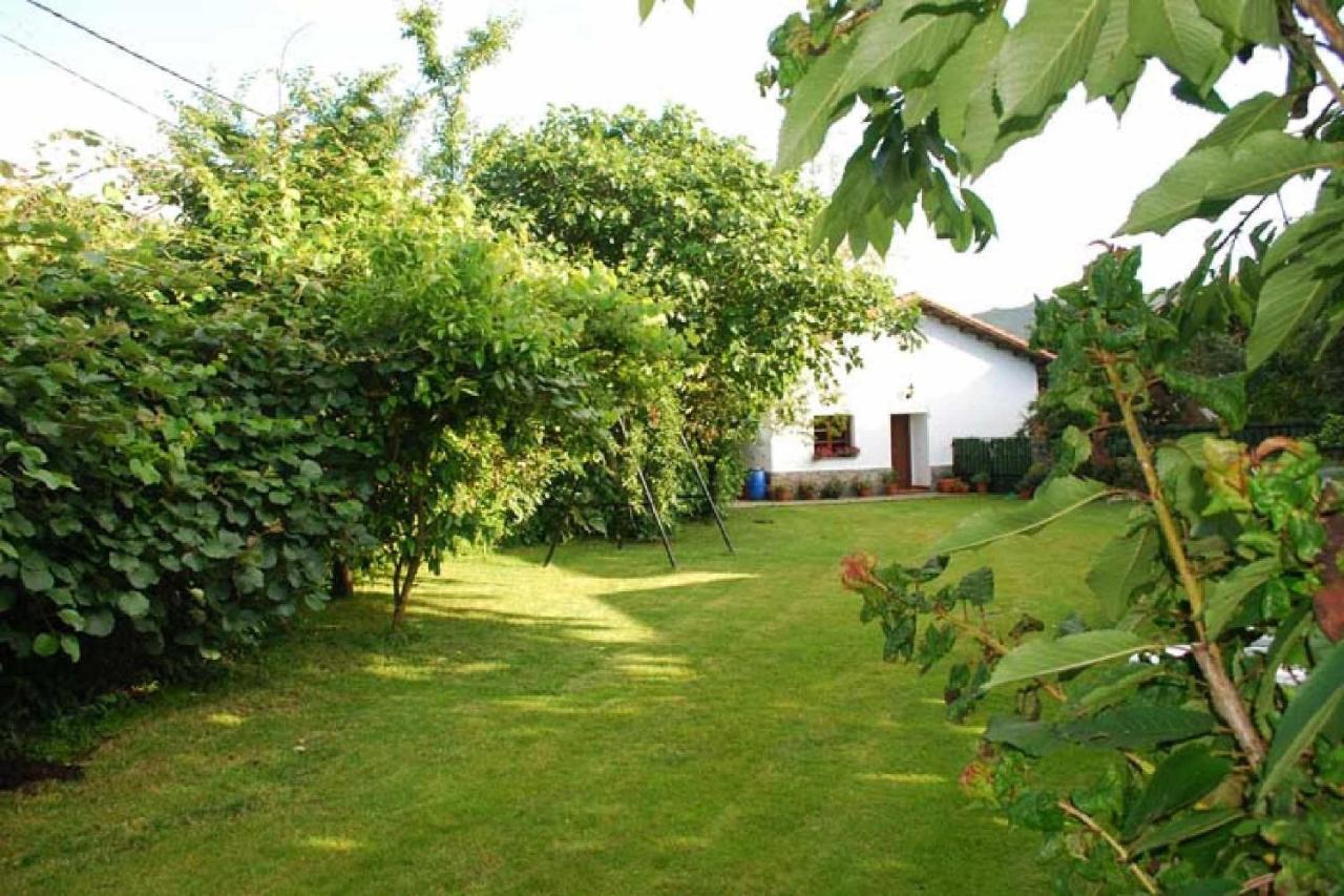 Casa Vacacional Carmen Villa Rales  Buitenkant foto